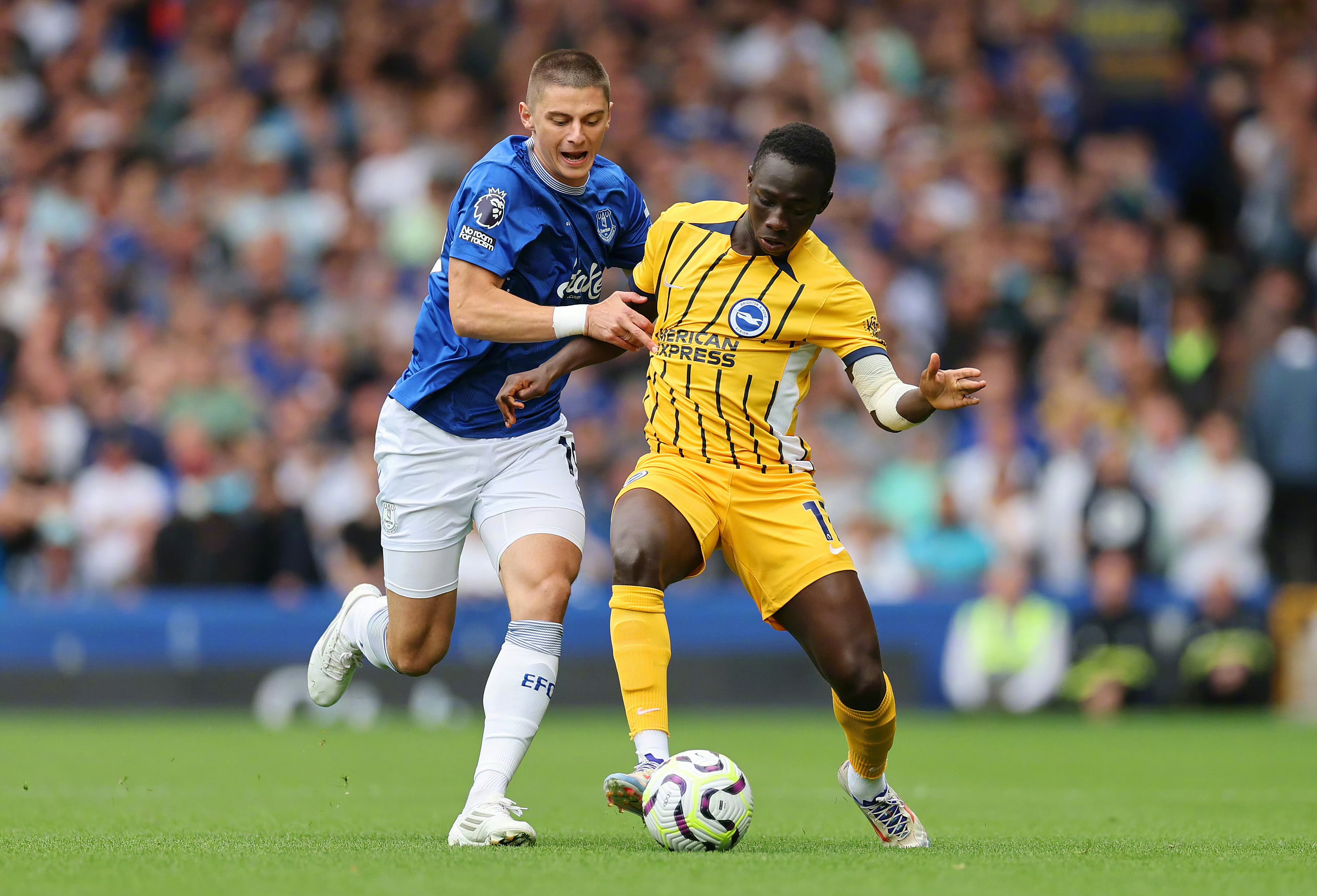 布莱顿客场获胜，英超排名跃升