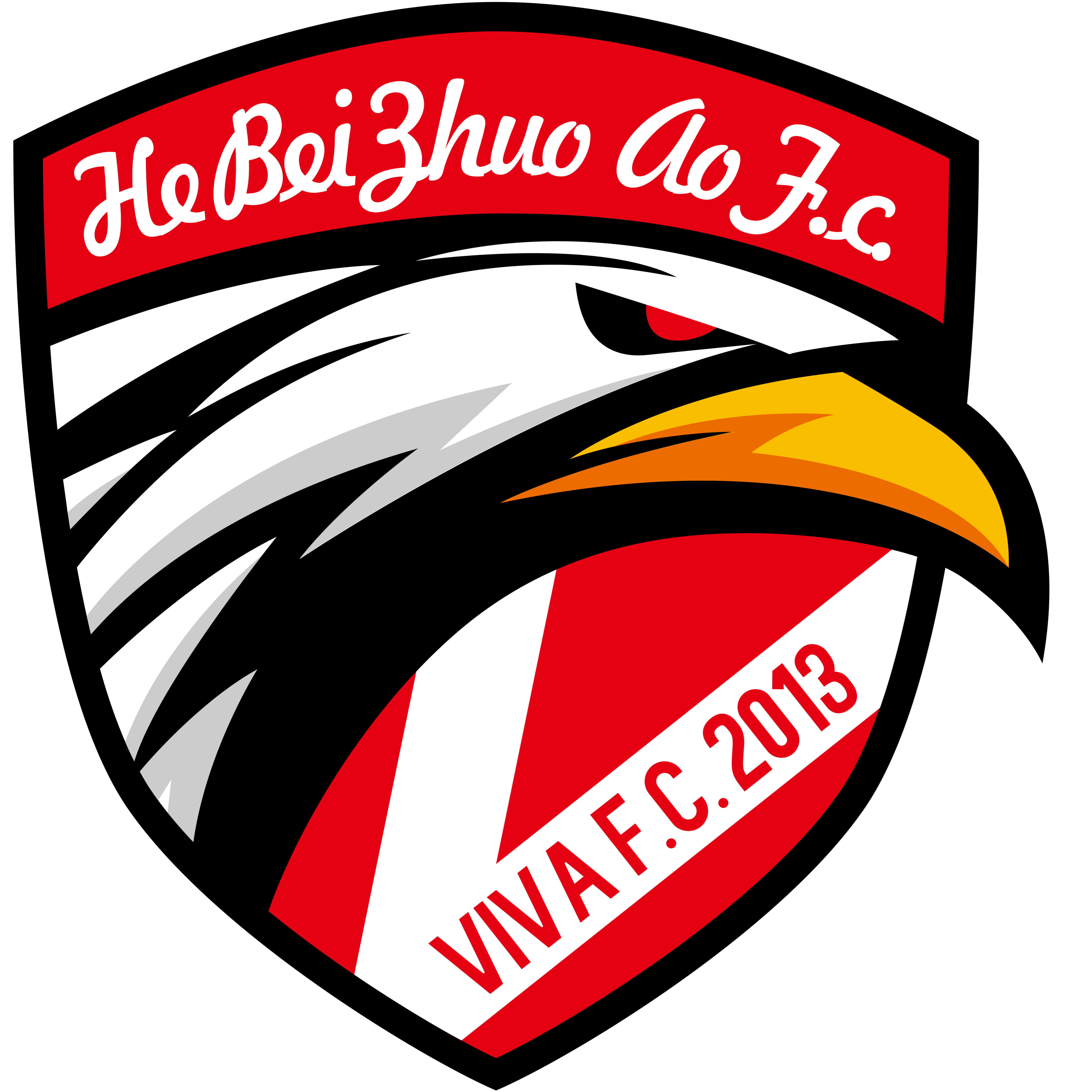 中国足球协会宣布启动全国青少年足球俱乐部联赛